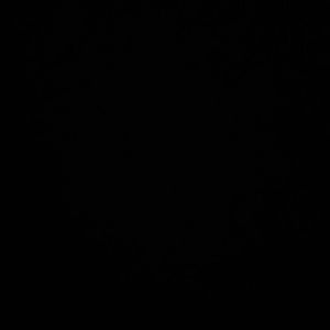 Meet your Posher, Lorena